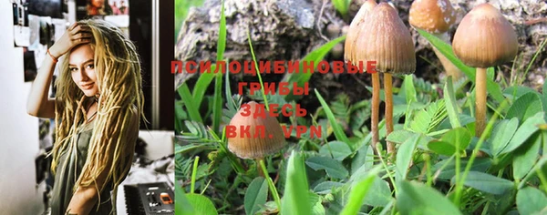 крисы Пестово