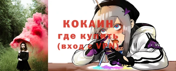 твердый Пересвет