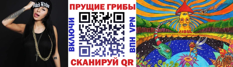 Купить закладки  Рыбинск  Псилоцибиновые грибы GOLDEN TEACHER 